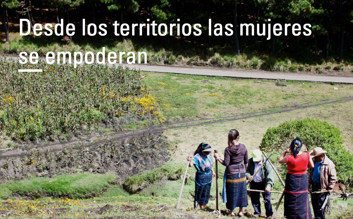 mail 15mayo